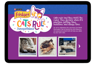 Friskies Ipad-02