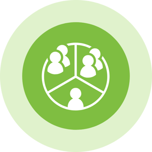 tier loyalty program customer segmentation